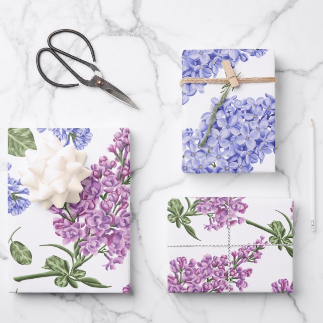 Hojas de papel de ajuste de Hyacinth (Anverso)