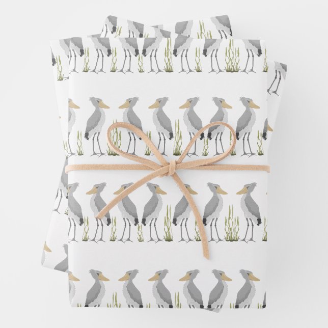 Hojas de papel de ajuste de la cigüeña para zapato (In situ)