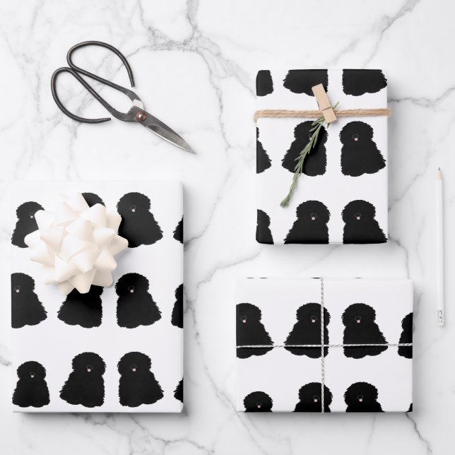 Hojas de papel de ajuste de puli (Anverso)