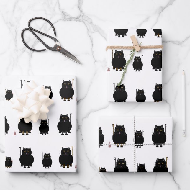 Hojas de papel de ajuste Kitt Katt (Anverso)