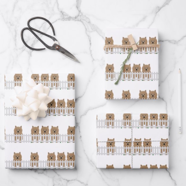 Hojas de papel de envolver de Norwich Terrier (Anverso)