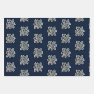 Hojas de papel de envolvimiento 3 diseños artístic