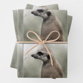Hojas de papel de envolvimiento de Meerkat