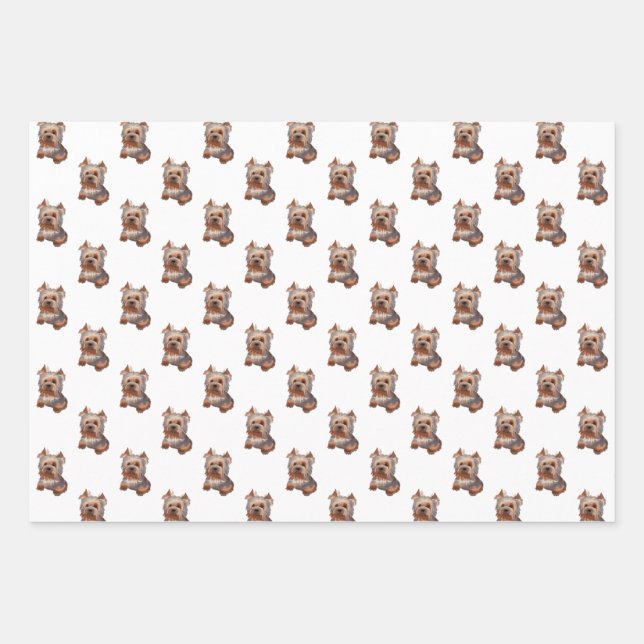 Hojas de papel de envolvimiento de Yorkshire Terri (Anverso)