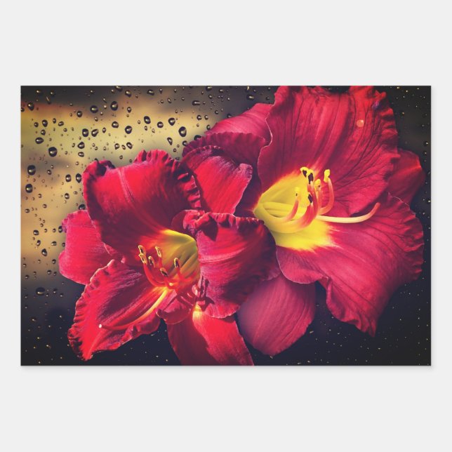 Hojas de papel de envolvimiento floral (Anverso 2)