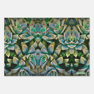 Hojas de papel de envolvimiento suculentas