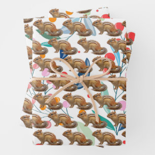 Hojas de papel de regalo divertido de ardilla de t