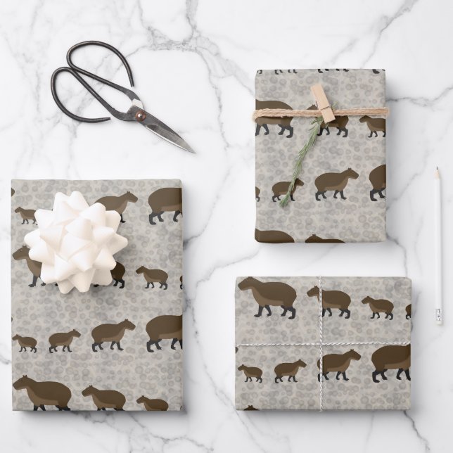 Hojas de papel de relleno de Capibara (Anverso)