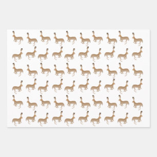 Hojas de papel de relleno de Jack Rabbits