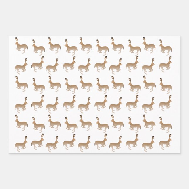 Hojas de papel de relleno de Jack Rabbits (Anverso)