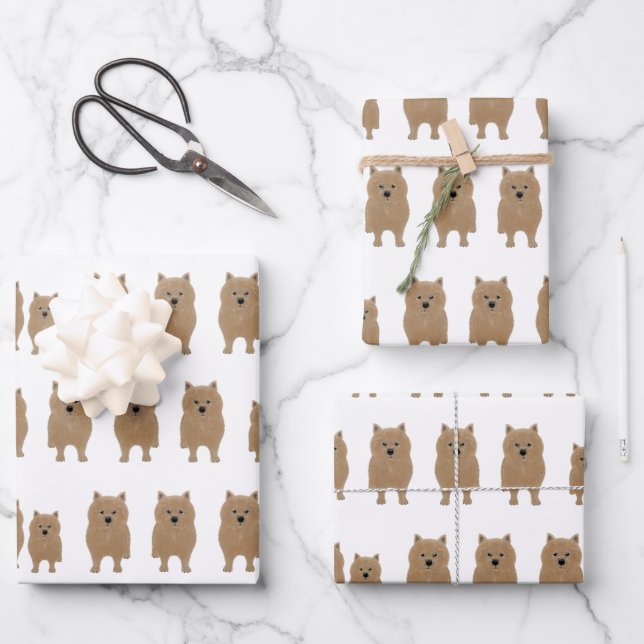 Hojas de papel de relleno de Norwich Terriers (Anverso)