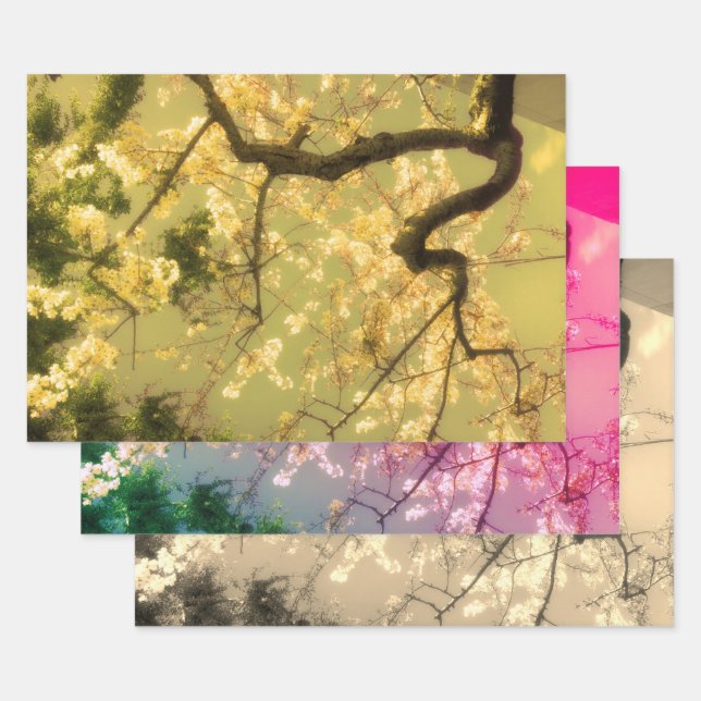 Hojas de papel envueltas: Colección floral japones (Set)