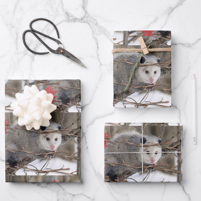 Hojas de papel envueltas naturaleza opossum (Anverso)