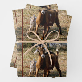 Hojas de papel para envolver a mamá y cabra infant