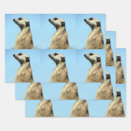 Hojas de papel para envolver de Meerkat