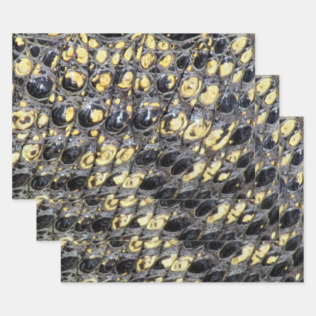 Hojas de papel para envolver "Piel de lagarto" (Set)