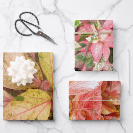 Hojas de papel para envolver regalos botánicos