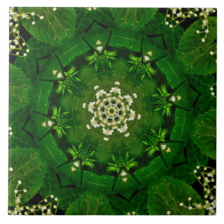 Hojas de primavera y azulejos cerámicos de flores