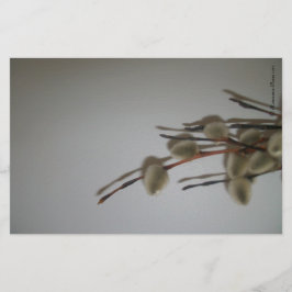 Hojas de soldadura (PussyWillows) RFPMDesigns ©️ 2