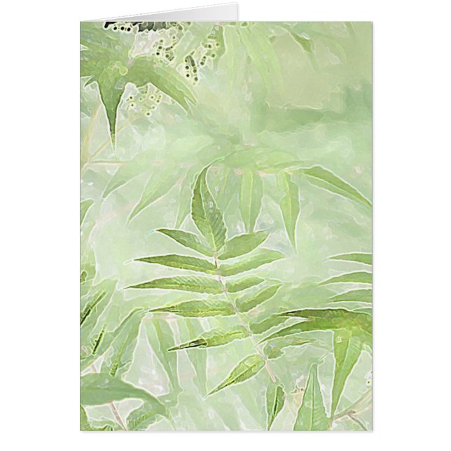 Hojas de Spirea - Tarjeta de arte digital (Frente)