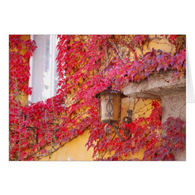 Hojas del rojo (Anverso (Horizontal))