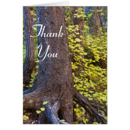 Hojas doradas en el camino de la horquilla oeste. 