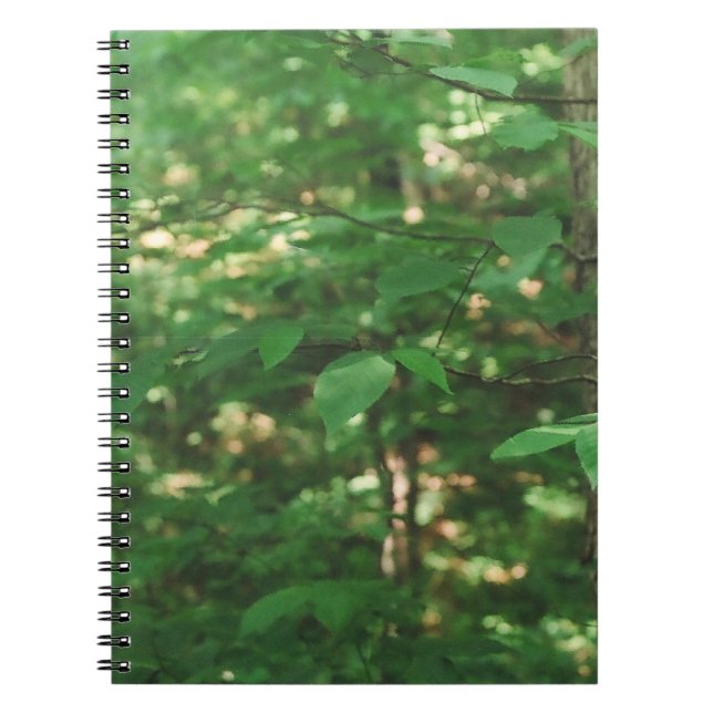"Hojas en un árbol…" Cuaderno de la fotografía de (Frente)
