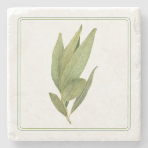 HOJAS FRESCAS DE LAUREL Posavasos de Piedra de Már