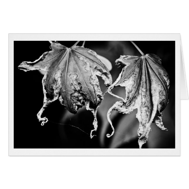 hojas jugar al pollo (Anverso (Horizontal))