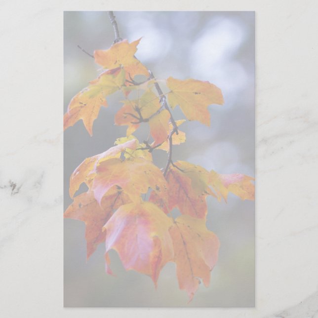 Hojas otoñales (Anverso)