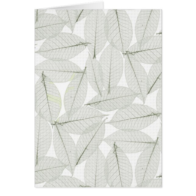 Hojas otoñales (Frente)