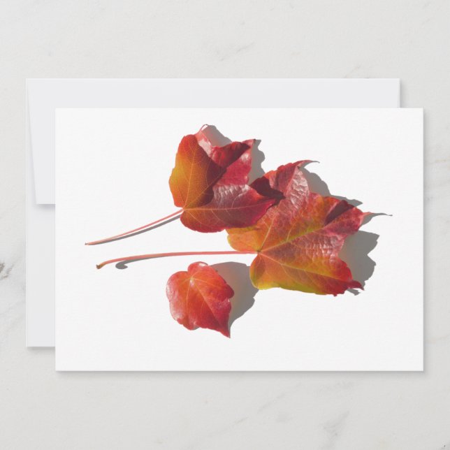 Hojas otoñales (Anverso)