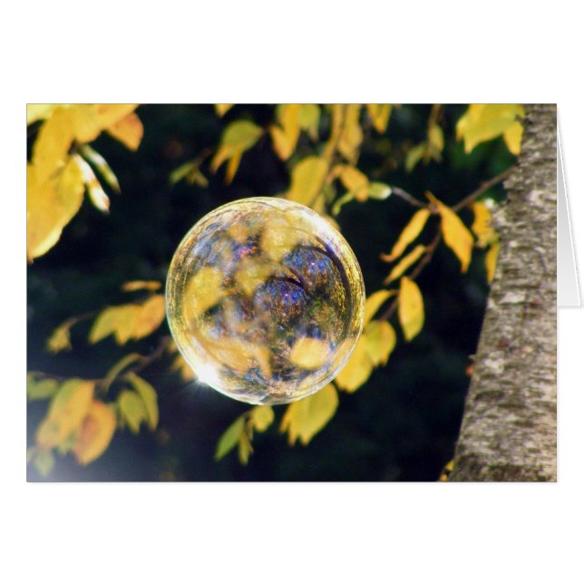 Hojas otoñales reflejadas (Anverso (Horizontal))