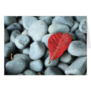 Hojas rojas y piedras