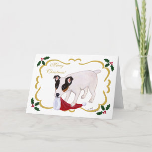 Hojas santas del navidad de Jack Russell Terrier