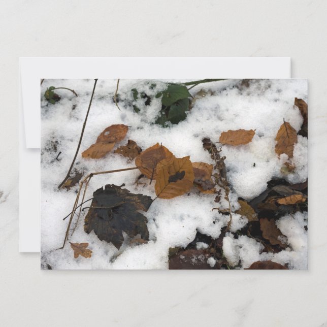 Hojas tiradas en la tarjeta de vacaciones de nieve (Anverso)