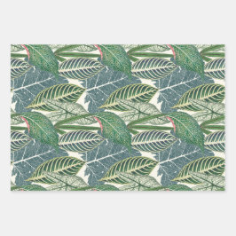 Hojas tropicales verdes