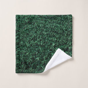 Hojas verdes