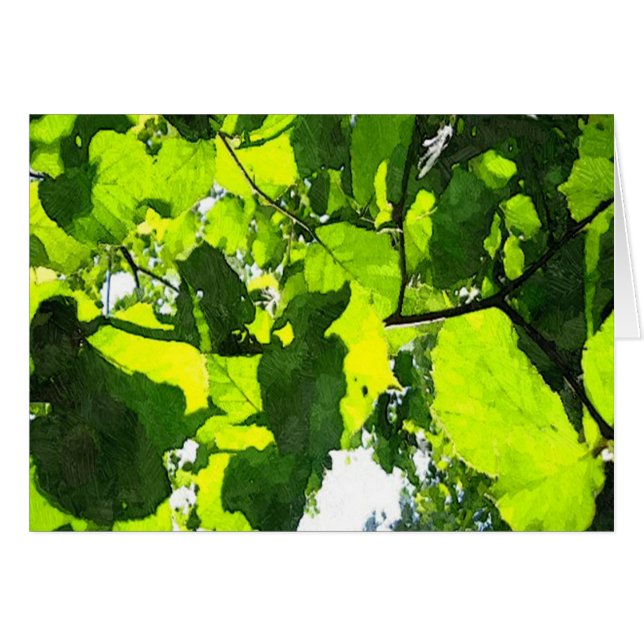 Hojas verdes (Anverso (Horizontal))