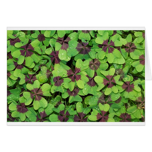 Hojas verdes (Anverso (Horizontal))