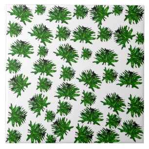 Hojas verdes de Dracaena y helechos, baldosas gran