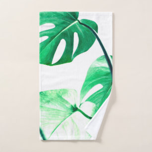 Hojas verdes de Monstera
