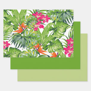 Hojas verdes tropicales flores naranjas rosadas