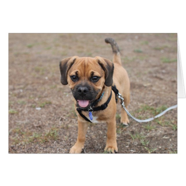 Hola (Anverso (Horizontal))