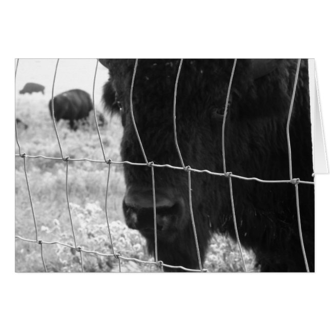 Hola (Anverso (Horizontal))