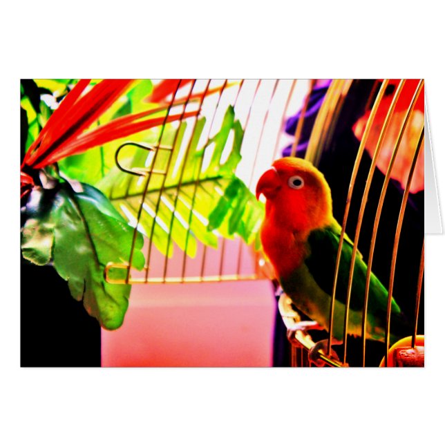 ¡Hola! (Anverso (Horizontal))