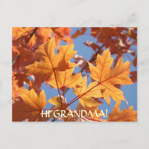 Hola abuela! Tarjeta postal Hojas de otoño naranja