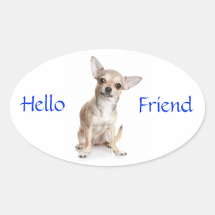 Hola amigo Sonriente Pegatina Chihuahua