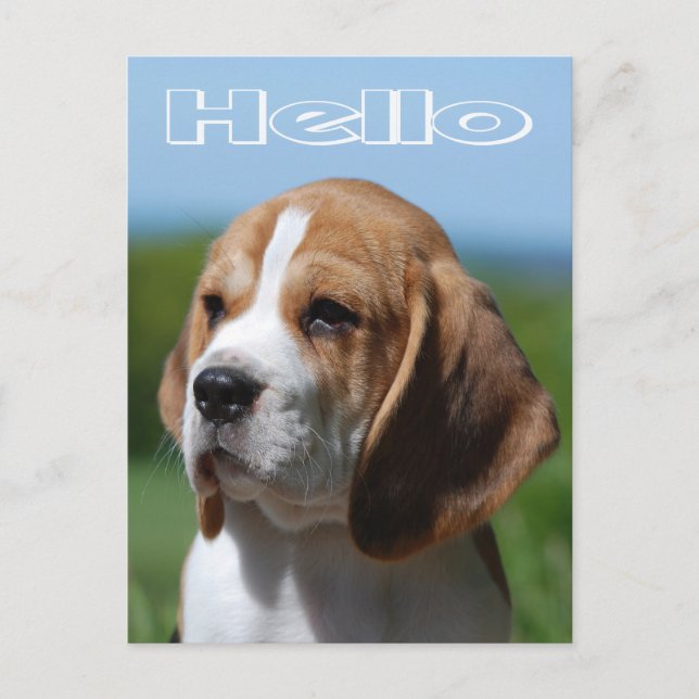 Hola Beagle Puppy Dog Tarjeta de correo de saludo (Anverso)
