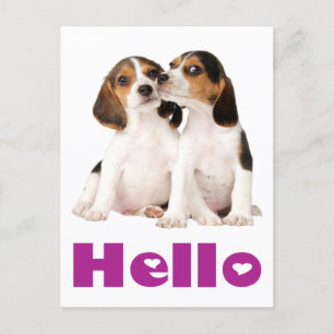 Hola Beagle Puppy Dog Tarjeta de correo de saludo